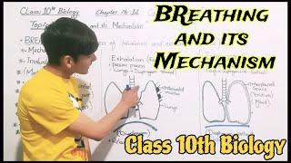 Breathing and it's mechanism Class 10 Biology Lecture 04 . Urdu/Hindi .