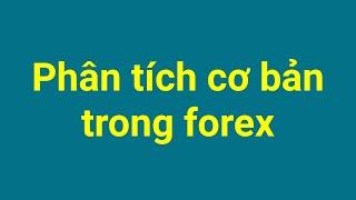 Forex | Phân tích cơ bản forex là gì? Bản chất của phân tích cơ bản trong forex