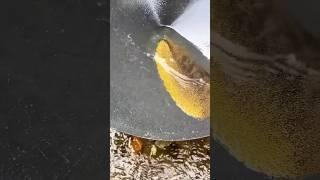 Gold 🪙 #satisfying #goldhunter #gold #goldprospecting #goldhunting #fish #diamondgoldhunter #fishing