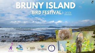 BRUNY ISLAND BIRD FESTIVAL 2024 - PART 1/4