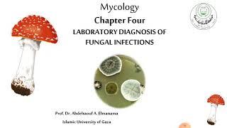 Laboratory diagnosis of fungal infections