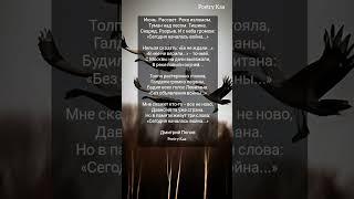 "Сегодня началась война.." Дмитрий Попов #поэзия #стихиожизни #война #ahdreykaa.