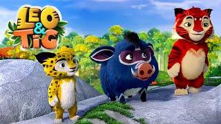 LEO and TIG   The Way Home — Episodes Collection  Moolt Kids Toons Happy Bear