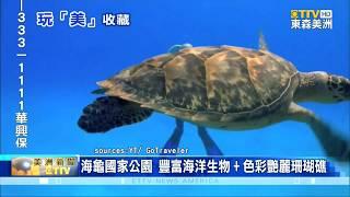 海龜國家公園 豐富海洋生物+色彩艷麗珊瑚礁