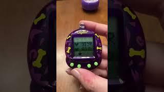 Do I have the Oldest Giga Pet? #shorts #virtualpet #gigapet