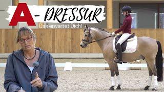 Klasse A Alles was du wissen musst I Dressuraufgaben by ClipMyHorse.TV Academy | A-Dressur