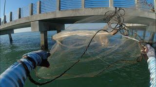 journey through the tampa bay shipping channel. 45 miles of amazing fishing ( offshore side )