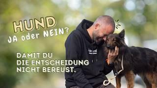 Passt ein Hund in mein Leben? Die Frage: Hund Ja oder Nein?!