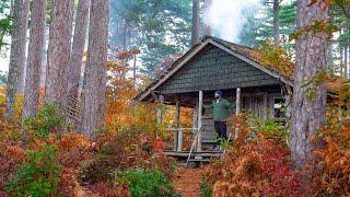 Peaceful Off-Grid Cabin Hidden in the Pines