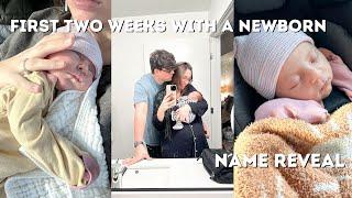 First two weeks with a newborn + name reveal