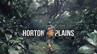 Horton Plains National Park | Documentary | වළාකුළු වනාන්තරයක දින හතරක් | 4K  #ගිණිහිරිය #මහඑළිය