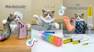 That Little Puff | Cats Make Food  | Kitty God & Others | TikTok 2024 #45