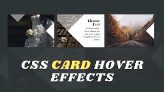 CSS Card Hover Effects | Vishweb Design