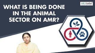 Dr Jyoti Misri - What is being done in the animal sector on AMR?