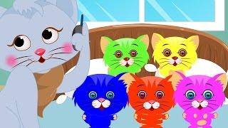 Five Little Kittens | Five Little | Kids Songs With Lyrics For Babies | Nursery Rhymes