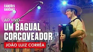 UM BAGUAL CORCOVEADOR - JOÃO LUIZ CORRÊA (AO VIVO - SHOW DVD)