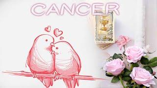 CANCER‍️I CANT NO‍️LONGER CONTROL MY FEELINGSI WANT TO MAKE LOVE & HAVE YOUR BABY MAY TAROT