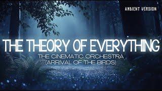 THE THEORY OF EVERYTHING ending scenes music but it's relaxing ambient version | Immersive BGM