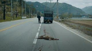 Фермер сбивает заражённого оленя на дороге Поезд в Пусан
