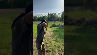 Deflex reflex selfbow bow in action.