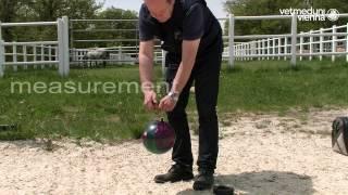 Vetmeduni Vienna: The BALL - New technology for (equine) surface testing