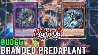 BUDGET FRIENDLY! Yu-Gi-Oh! Branded Predaplant Deck Profile July 2022 Format