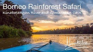 Borneo Rainforest Safari | Kinabatangan River and Gomantong Cave