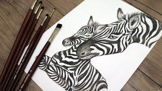 How to Draw a Zebra and its Baby | Pencil Drawing | Step by Step