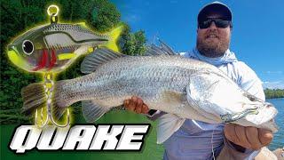 How to Fish Soft Vibes - Catching BIG Fish on the TT Quake Power Vibe