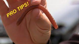 Winter Wacky Rig Worm (Catch 10x MORE Bass!) | Bass Fishing