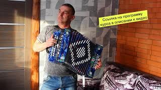 Можно ли быстро научиться играть на гармошке?