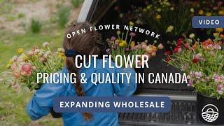 Cut Flower Pricing and Quality for Wholesale in Canada