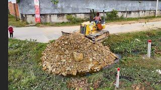 Wonderful project! Incredible skill bulldozer work with dump trucks filling land