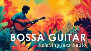 Bossa Nova Guitar ~ 24/7 Brazilian Jazz Radio to Ease Your Soul ~ Jazz Alchemy Quartet