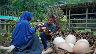 Harvest chicken eggs | Make special egg martabak _ Living in the Village