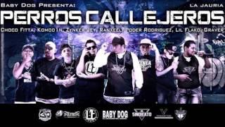 LOS PERROS CALLEJEROS BabyDog,Komod1n,ZynkerJey,Ranxeel,PoderRodriguez,ChocoFitta,LilFlako,Graver