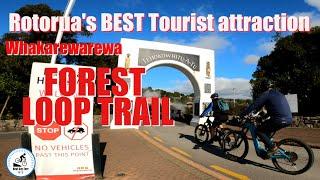 Rotorua's BEST Tourist Attraction- Whakarewarewa Forest Loop Trail