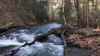 North River Tailwaters