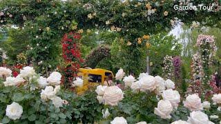 Immerse Yourself in the Beauty of the World’s Largest Rose Garden – A Place to Relax Your Soul