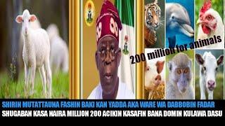 AN WARE WA DABBOBIN FADAR SHUGABAN KASA 200 MILLIONS DOMIN KULA DASU!!