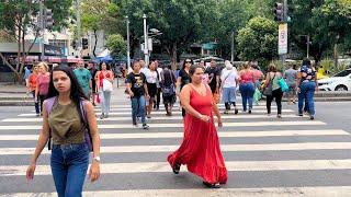 End of Year in Tijuca: Exploring the Heart of the North Zone | Rio de Janeiro, Brazil 【4K】 2024