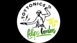 Felipe Gordon - Wait On Me [Toy Tonics]