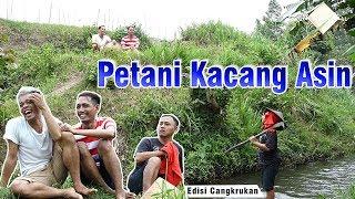 Curhatan Petani Kacang Asin cak percil komedi