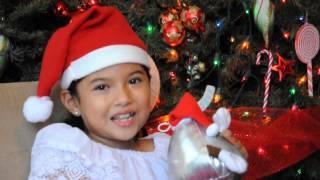 mensaje navideño carolina soto