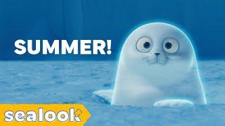 How the Cool Seals Deal with SummerㅣSEALOOKㅣEpisodes Compilation