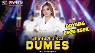 Shinta Arsinta - Dumes | Dangdut (Official Music Video)
