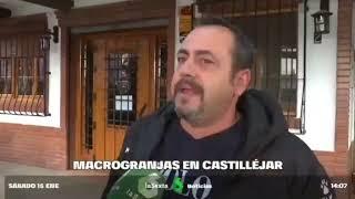 Las tres macrogranjas de Castilléjar (Granada) en menos de 60 kilómetros. Un Horror!!!!