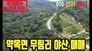 약목 무림리 임야 매매 #무림리야산매매 #배시기 #초당골 #약목야산매매 #왜관부동산 #길부동산 #왜관길부동산