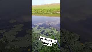 #рыбалка2023 #поплавок #омут
