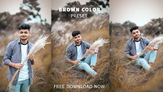 Kashful Brown color effect Moody Preset | Adobe Photoshop Preset - Free Download XMP - Amit editz